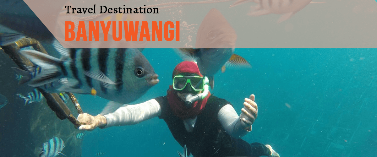 bali to banyuwangi